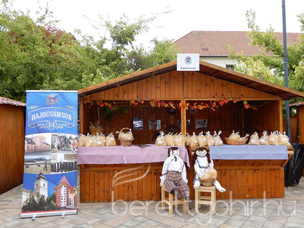 Helyi Értékek Startja 88